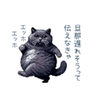 エッホで伝える旦那ねこ【面白い】（個別スタンプ：31）