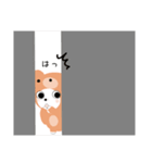ほんとはネコ★1(日常編)（個別スタンプ：10）