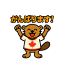 ビーバー(ビリー)のスタンプ（個別スタンプ：19）