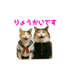3匹の猫と時々犬（個別スタンプ：2）