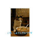 3匹の猫と時々犬（個別スタンプ：19）