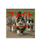 3匹の猫と時々犬（個別スタンプ：30）