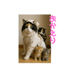3匹の猫と時々犬（個別スタンプ：34）