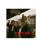 3匹の猫と時々犬（個別スタンプ：37）