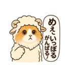 めるんど、干支コスプレでダジャレ（個別スタンプ：8）