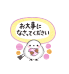 【敬語】まるふわシマエナガ♡大人の気遣い（個別スタンプ：38）