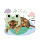 Bellの毎日スタンプ（個別スタンプ：1）