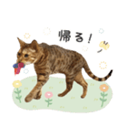 Bellの毎日スタンプ（個別スタンプ：2）