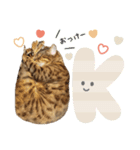 Bellの毎日スタンプ（個別スタンプ：4）