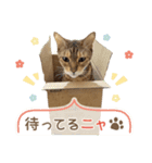 Bellの毎日スタンプ（個別スタンプ：6）