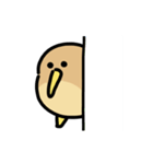 ふわもこアメリカヤマシギ 動くスタンプ（個別スタンプ：17）