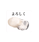 動く 大粒 牡蠣（個別スタンプ：3）