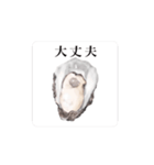 動く 大粒 牡蠣（個別スタンプ：13）