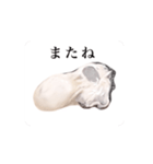 動く 大粒 牡蠣（個別スタンプ：14）