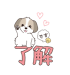『シーズー』ちょこっと♡ダジャレ（個別スタンプ：1）