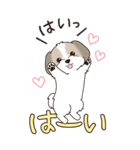 『シーズー』ちょこっと♡ダジャレ（個別スタンプ：5）