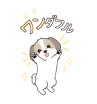 『シーズー』ちょこっと♡ダジャレ（個別スタンプ：11）