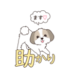 『シーズー』ちょこっと♡ダジャレ（個別スタンプ：12）