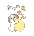 『シーズー』ちょこっと♡ダジャレ（個別スタンプ：13）