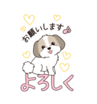 『シーズー』ちょこっと♡ダジャレ（個別スタンプ：16）