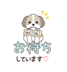 『シーズー』ちょこっと♡ダジャレ（個別スタンプ：23）