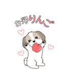 『シーズー』ちょこっと♡ダジャレ（個別スタンプ：24）