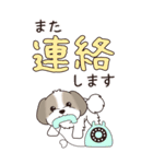 『シーズー』ちょこっと♡ダジャレ（個別スタンプ：25）