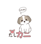 『シーズー』ちょこっと♡ダジャレ（個別スタンプ：26）