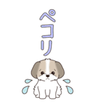 『シーズー』ちょこっと♡ダジャレ（個別スタンプ：29）