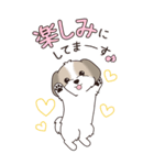 『シーズー』ちょこっと♡ダジャレ（個別スタンプ：31）