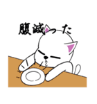 幸せ白猫（個別スタンプ：3）