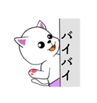 幸せ白猫（個別スタンプ：12）
