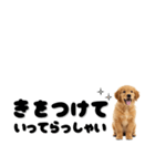 敬語で伝える♡ゴールデン（横長）（個別スタンプ：3）