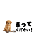 敬語で伝える♡ゴールデン（横長）（個別スタンプ：5）