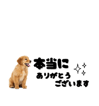 敬語で伝える♡ゴールデン（横長）（個別スタンプ：25）