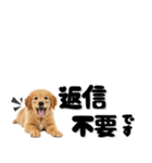 敬語で伝える♡ゴールデン（横長）（個別スタンプ：27）