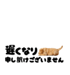 敬語で伝える♡ゴールデン（横長）（個別スタンプ：30）