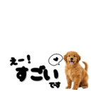 敬語で伝える♡ゴールデン（横長）（個別スタンプ：39）