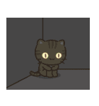 飛び出す！もやもや…3びきのねこ（個別スタンプ：1）