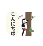 シンプル・モチーフ＊日常ことば（個別スタンプ：14）
