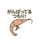 考えの甘い甘エビ（個別スタンプ：21）