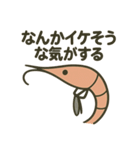考えの甘い甘エビ（個別スタンプ：37）