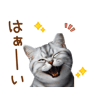 敬語のアメショスタンプ（個別スタンプ：3）