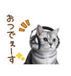 敬語のアメショスタンプ（個別スタンプ：5）