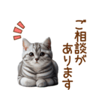 敬語のアメショスタンプ（個別スタンプ：10）