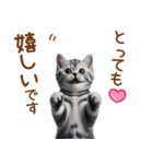 敬語のアメショスタンプ（個別スタンプ：11）