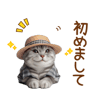 敬語のアメショスタンプ（個別スタンプ：12）