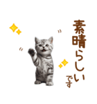 敬語のアメショスタンプ（個別スタンプ：13）