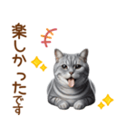 敬語のアメショスタンプ（個別スタンプ：14）