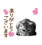 敬語のアメショスタンプ（個別スタンプ：16）